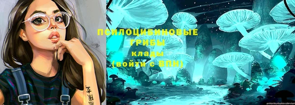 прущий лед Алексеевка