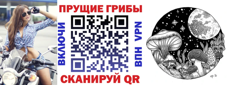 Галлюциногенные грибы Magic Shrooms  Купить закладки  Борзя 