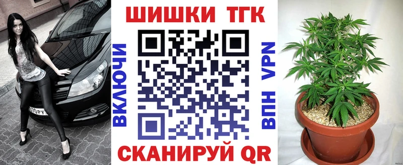 Купить где Борзя Конопля OG Kush